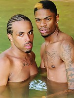 Damari and Mister Buck